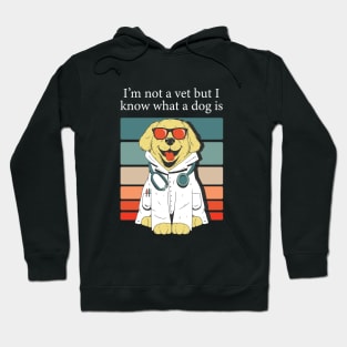 im not a vet but i know what a dog is Hoodie